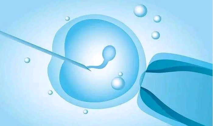 泰国代怀收费多少_代怀孕生子,安顺供卵试管助孕代怀生孩子机构