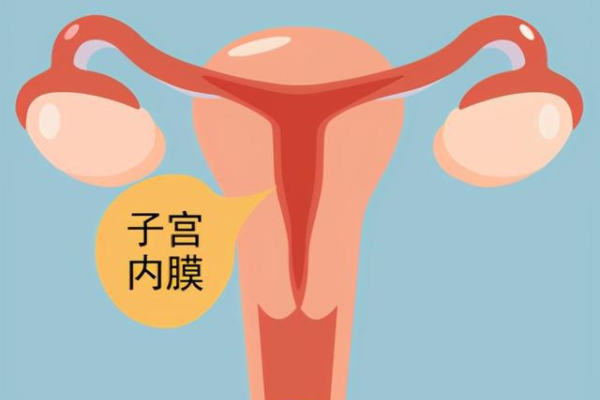 代怀孕2023
_个人代怀qq群,天津供卵机构在哪（北京代生供卵代怀）
