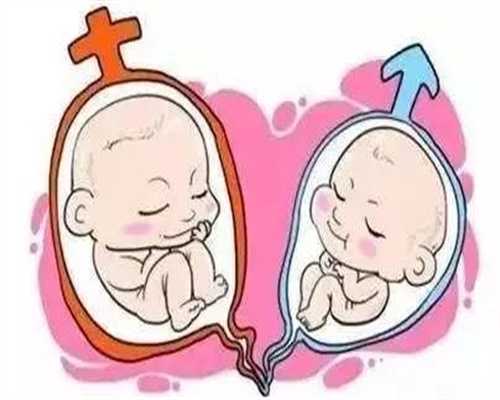 上海供卵中心官网,上海优生优育咨询包括哪些内容哪些人需要做