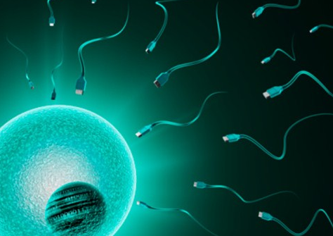 上海能供卵试管吗,上海做试管的医院排名榜-上海试管比较好的医院！