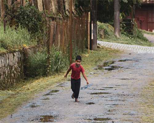 上海医院哪有供卵,上海要二胎做试管婴儿生男女成功率有多少呢?