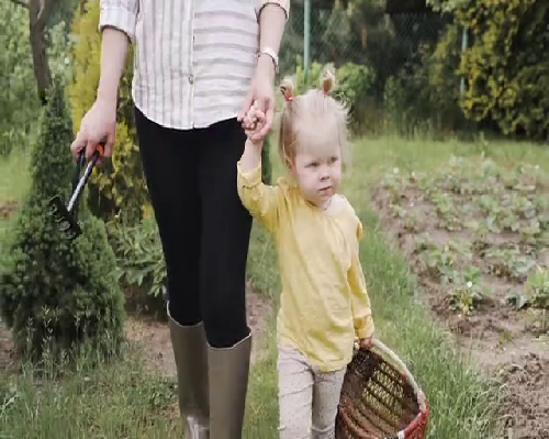 40岁女人卵子不好受孕&代怀孕那里最好,现在还可以做供精试管婴儿吗？备孕一